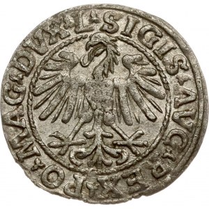 Lithuania Polgrosz 1548 Vilnius