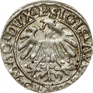 Lithuania Polgrosz 1559 Vilnius