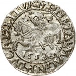 Lithuania Polgrosz 1559 Vilnius
