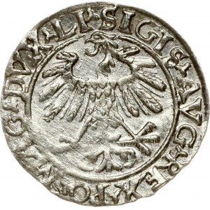 Lithuania Polgrosz 1559 Vilnius