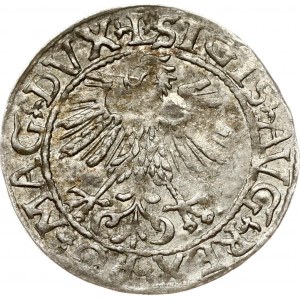 Lithuania Polgrosz 1561 Vilnius