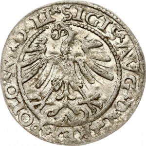 Lithuania Polgrosz 1563 Vilnius (R) - Small Knight LI/LITVA