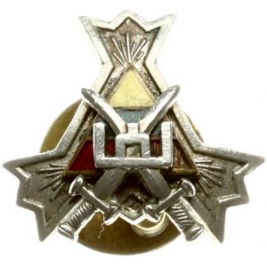 Lithuania Miniature Badge 1927 of the Lithuanian Armed Forces Volunteer Union