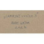 Adam Wątor (ur. 1970, Myślenice), Labirynt luster 3, 2023