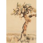 Boleslaw Cybis (1895 Massandra Farm in Crimea - 1957 Trenton (New Jersey, USA)), Cactus (recto) / Mountain Landscape (verso), 1930
