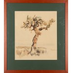Boleslav Cybis (1895 Massandra Farm na Krymu - 1957 Trenton (New Jersey, USA)), Kaktus (recto) / Horská krajina (verso), 1930