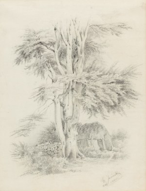 Ignacy Jasiński, Pejzaż z drzewem, 1851