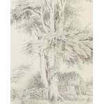 Ignacy Jasinski, Landscape with a Tree, 1851
