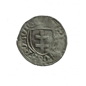 KAZIMIERZ JAGIELLOŃCZYK (1440-1492) szeląg toruński;