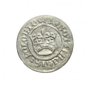 ALEKSANDER JAGIELLOŃCZYK (1501-1505) piękny półgrosz koronny;