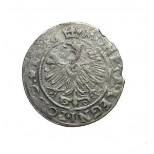 ZYGMUNT I. DER ALTE (1506-1548) Kronenpfennig 1546, rumänische RRR;
