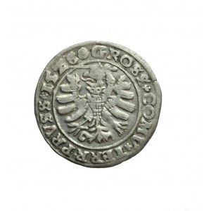 ZYGMUNT I. DER ALTE (1506-1548) Preußischer Pfennig 1528, R1;