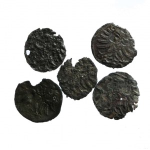 ZYGMUNT I STARY (1506-1548) denary gdańskie zestaw 5szt R3-R4;