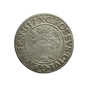 ZYGMUNT I STARY (1506-1548) grosz gdański 1537, najrzadszy R1;