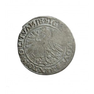 ZYGMUNT I. DER ALTE (1506-1548) Litauischer Pfennig aus dem Jahr 15-35, R2;