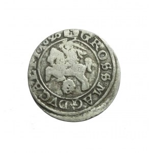 ZYGMUNT III WAZA, seltener litauischer Pfennig 1626 R4;
