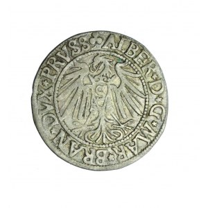PRUSKIE KSIĘSTWO LENNE, Albrecht Hohenzollern, grosz 1540