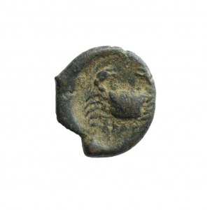 SYCYLIA, AKRAGAS (Agrigentum) V v. Chr., Bronze mit Adler