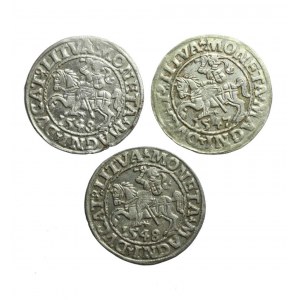 ZYGMUNT II AUGUST (1544-1572) Litauischer Halbpfennig Satz von 3 Münzen