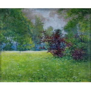 Theodore ZIOMEK (1874 - 1937), Spring Meadow