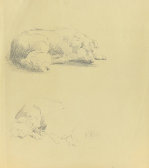 Ludwik MACIĄG (1920-2007), Szkice śpiącego psa