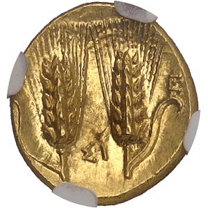 Lucanie, Métaponte. Tiers de statère d’Or ou tétrobole ND (290-280 av. J.-C.), Métaponte.