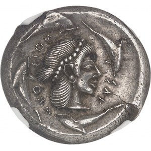 Sicile, Syracuse, Hiéron Ier (477-466 av. J.-C.). Tétradrachme ND (c.475-470 av. J.-C.), Syracuse.