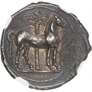 Zeugitane, Carthage. Demi-shekel, alliance avec les Bruttiens ND (215-205 av. J.-C.), Bruttium (Calabre).
