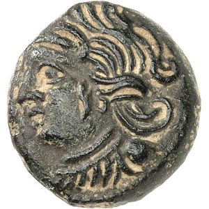 Bituriges Cubes. Bronze CALIAGIID à l'aigle et à l'aiglon ND (milieu du Ier siècle avant J.-C. Guerre des Gaules).