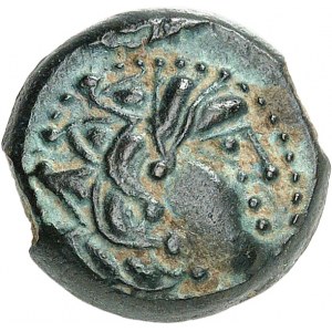 Carnutes. Bronze à l'aigle et au pentagramme, classe IV ND (seconde moitié du Ier siècle avant J.-C.).