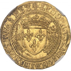 Louis XII (1498-1514). Écu d’or au porc-épic ND, Montpellier.