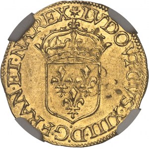 Louis XIII (1610-1643). Demi-écu d’or au soleil, 1er type 1638, D, Lyon.