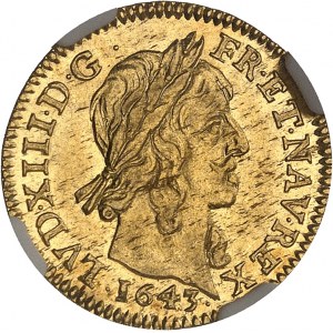 Louis XIII (1610-1643). Demi-louis d’or 1643, D, Lyon.