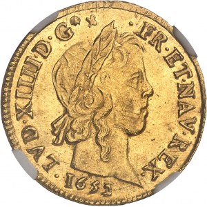 Louis XIV (1643-1715). Louis d’or à la mèche longue 1652/1, N, Montpellier.