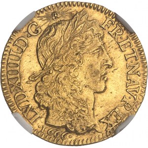 Louis XIV (1643-1715). Louis d’or juvénile lauré 1666, A, Paris.