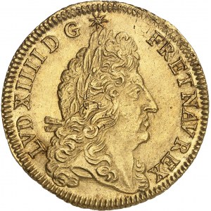 Louis XIV (1643-1715). Double louis d’or à l’écu 1690, B, Rouen.