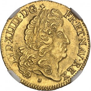 Louis XIV (1643-1715). Louis d’or à l’écu, flan neuf 1690, N, Montpellier.