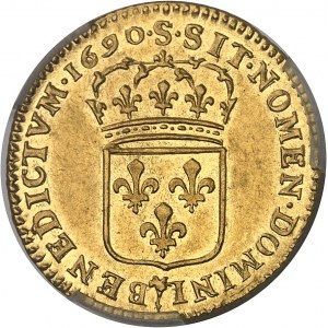 Louis XIV (1643-1715). Louis d’or à l’écu, flan neuf 1690, S, Reims.