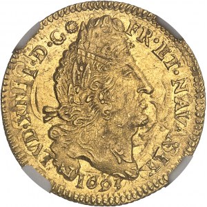 Louis XIV (1643-1715). Louis d’or aux quatre L 1693, S, Reims.