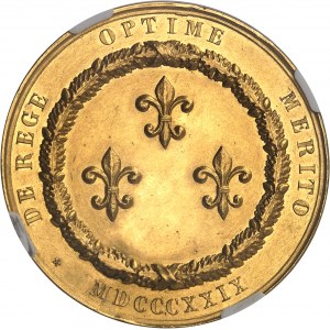 Naples, François Ier (1825-1830). Médaille d’Or, Ordre royal pour le mérite civil 1829, Naples.