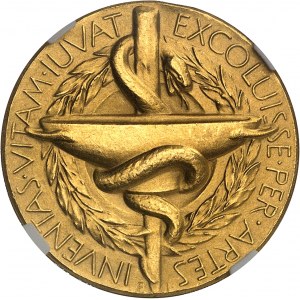 Gustave VI Adolphe (1950-1973). Médaille d’Or de membre du comité Nobel, Physiologie et Médecine, fondation Alfred Nobel, d’après Erik Lindberg 1972, Eskilstuna (AB Myntverket).