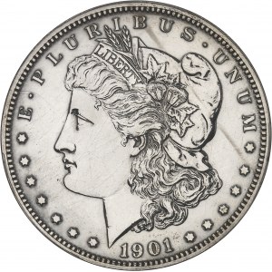 République fédérale des États-Unis d’Amérique (1776-à nos jours). Dollar Morgan, Flan bruni (PROOF) 1901, Philadelphie.