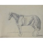 Piotr MICHAŁOWSKI (1800-1855), Sketchbook - Sketches of horses, cattle and others.