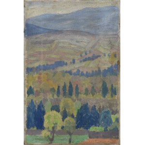 Jan HOPLIŃSKI (1887-1974), Mountain landscape from Maków Podhalański, 1918