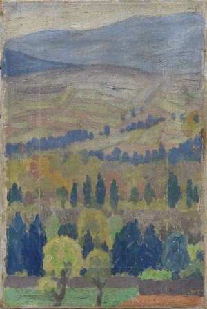 Jan HOPLIŃSKI (1887-1974), Pejzaż górski z Makowa Podhalańskiego, 1918