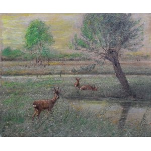 Julian BOÑCZA-TOMASZEWSKI (1834-1920), Deer in the wetlands