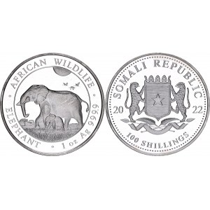 Somalia 100 Shillings 2022