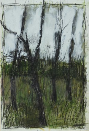 Jacek SIENICKI (1928-2000), Drzewa, 1996