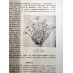 Makowiecki S. - Kwiaty w Mieszkaniu - Tarnów 1948 - [142 ryciny ]
