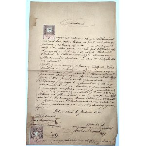 Pismo do Sądu Powiatowego w Dolinie [Kresy] - 1881